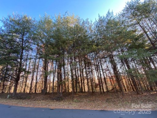 1438 Windemere Lane