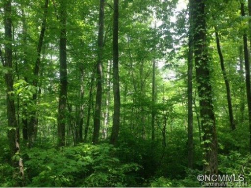 Lot 14 Old Tannassie