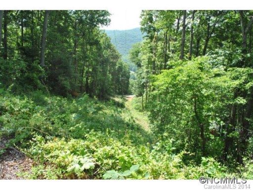 Lot 20 Silent Forest Drive