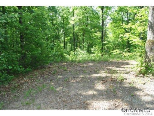 Lot 23 Silent Forest Drive