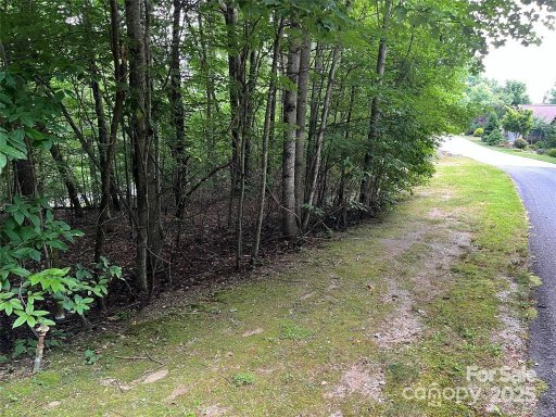 185 Ladys Fern Trail