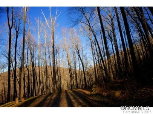 58 Castanea Mountain Drive