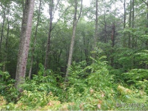 Lot 56 Bear Pen