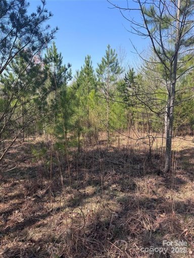 0 Cross Creek Drive 277