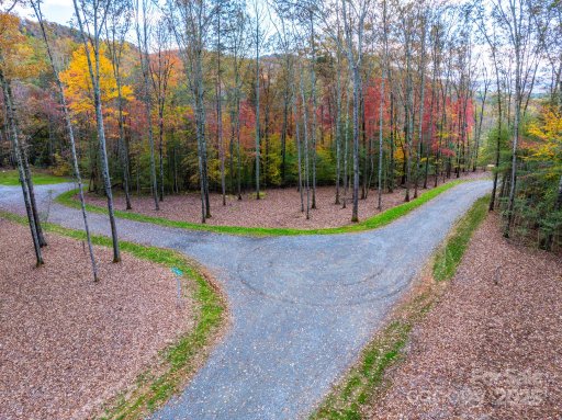 000 Nature Walk Lane 7
