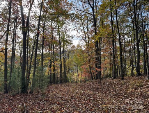 692 Blue Mist Way 205R