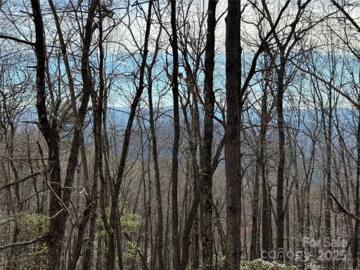 Tbd Bobcat Mountain Road