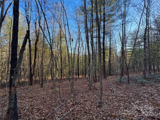 0000 Pebble Stone Trail