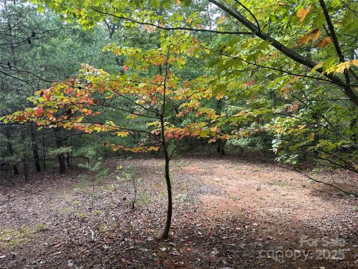 333 Mossy Oak Trail