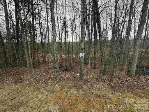 348 Broken Arrow Drive