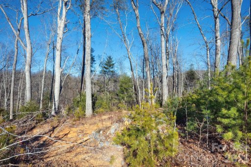 136 Riverbend Forest Drive