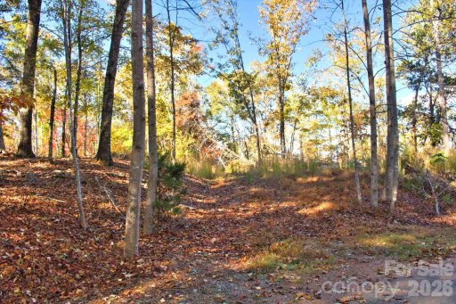 0 Wilderness Ridge