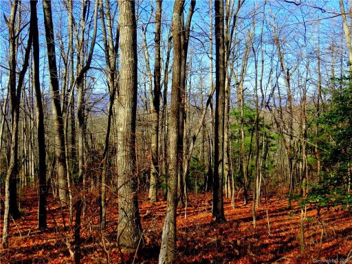 733 Slick Rock Road 1-A