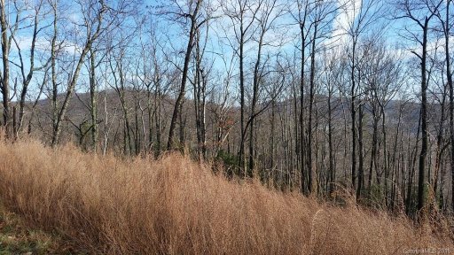 Lot 151 Winterstar None