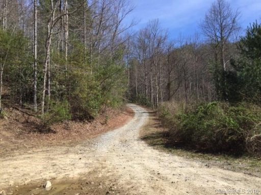 00 Flint Branch Road 10