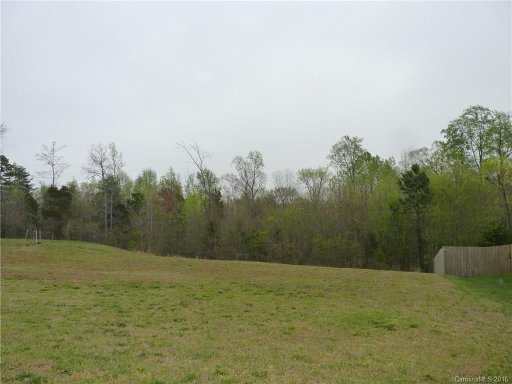 2529 Woodsorrel Lane 11