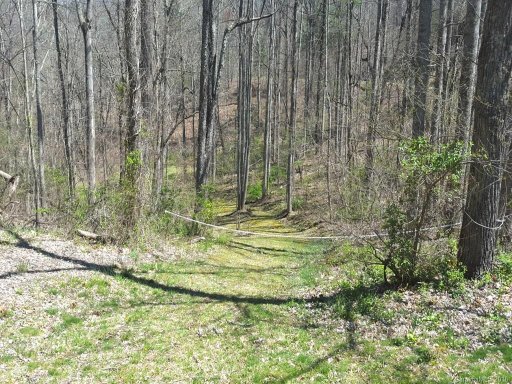 41 Rambling Ridge Road 6