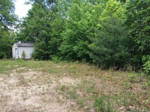 16 Will Campbell Road