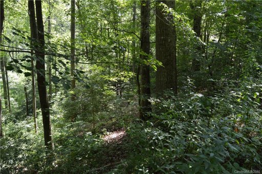 Lot 14 Timber Park Drive