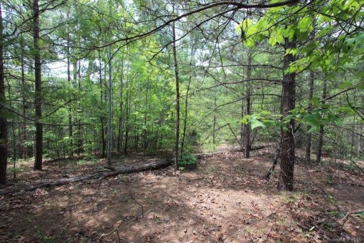 Lot 14 E Mcowenben Pass Road