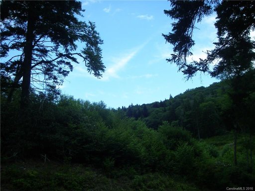 Lot 28 Pless Underwood Drive