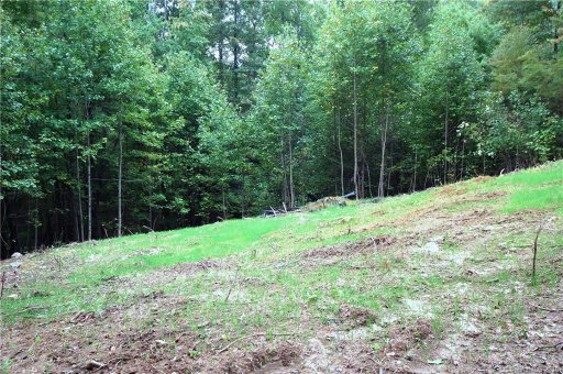 92 Gobbler Ridge Drive