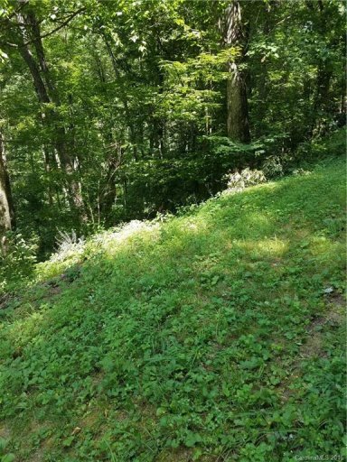 57 Dream Mountain Boulevard #57