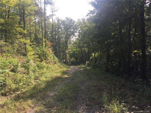 9999 Lower Flat Creek Road 4A