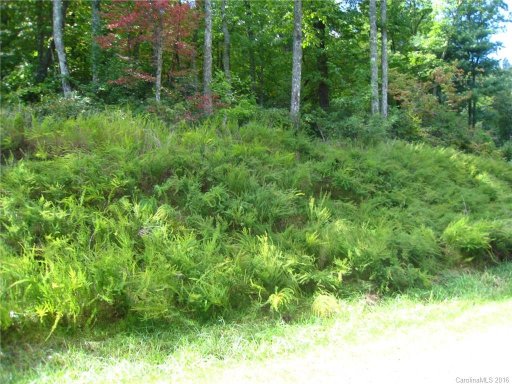 Lot 318 Rolling Ridge Trail 318 2B