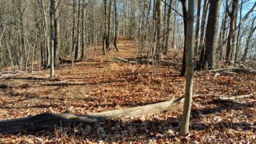 1122 Miller Mountain Road