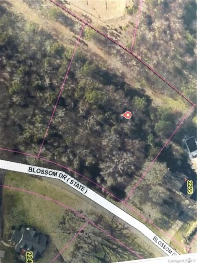 Lot 13 Blossom Drive