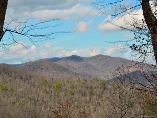 862 Mills River Way 40R