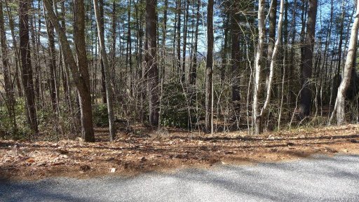 Lot 12 Red Fox Drive