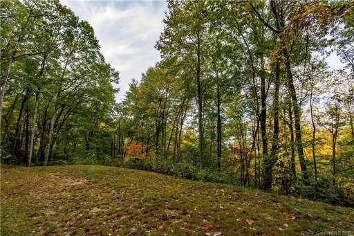 58 Buddy Boy Lane 75A