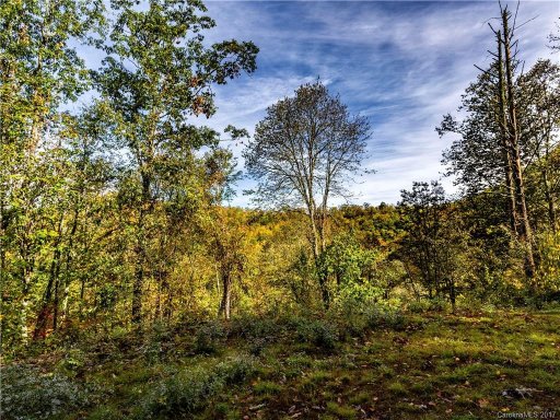 306 Buddy Boy Lane 75C