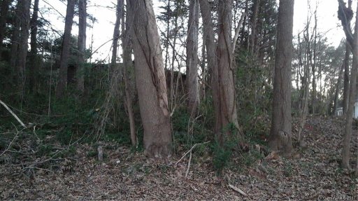 Lot 67 Ponderosa Circle