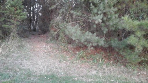 Lot 71 Ponderosa Circle