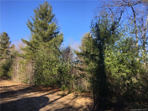 Lot 25 Majestic Ridge Drive