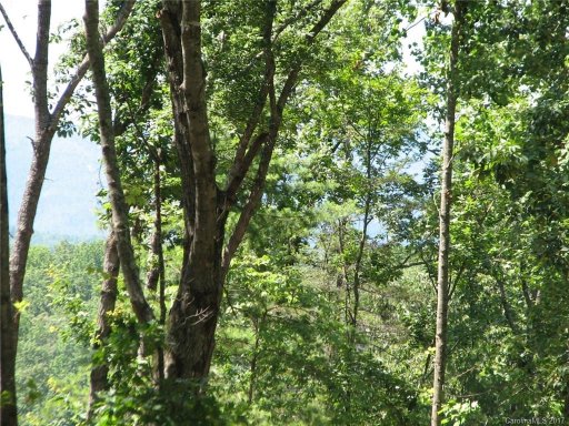0 Cove Creek Drive