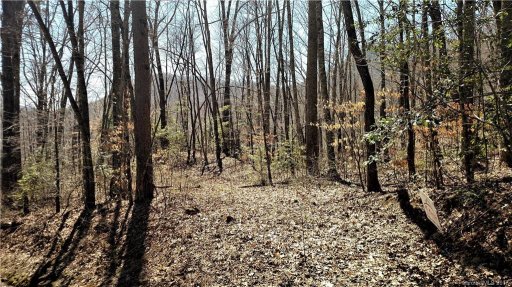 0000 Hemlock Falls Drive 1 sec 4