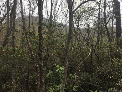 9999 Old Mill Road 13