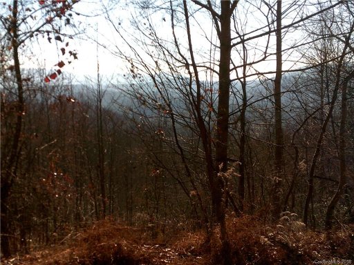Lot 37 Rambling Trail