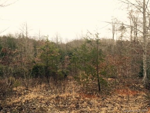 Lot 40 Foresight Lane