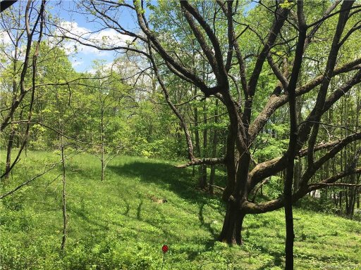 00 Walnut Creek Road 21