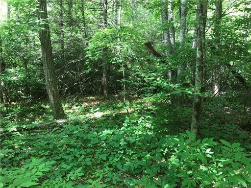 000 W Woodland Trail 3