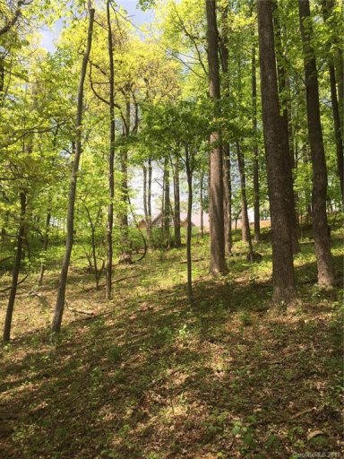 3860 Skyuka Mountain Road 18