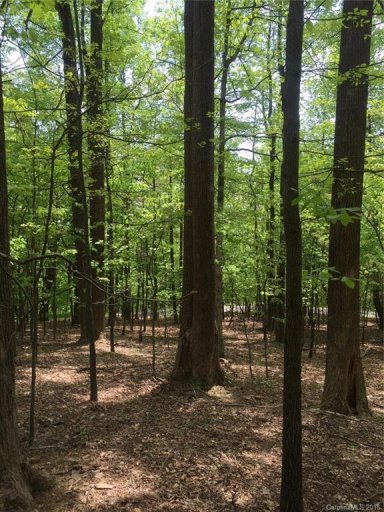 3861 Skyuka Mountain Road 16