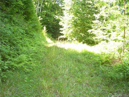 35 Trickle Creek Road