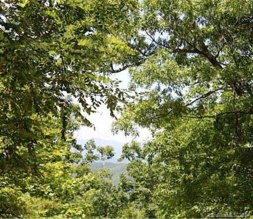 999 Prospectors Trail