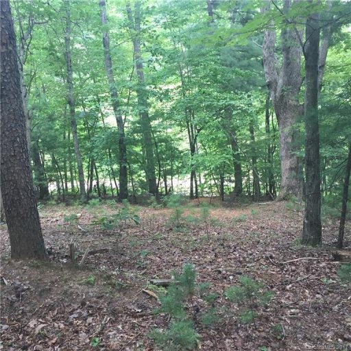 00 Echo Lane lot A